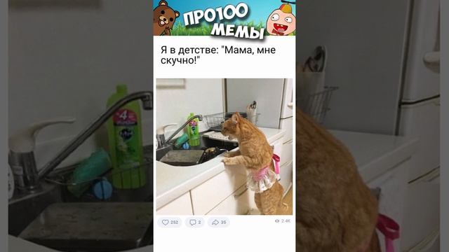 Мемы и котики #смешныекоты #мемы #мемас #жиза #мемыскотами #shorts #котики #мемчики #про100мемы