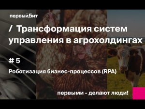 Часть 5: Роботизация процессов (RPA) в агрохолдингах