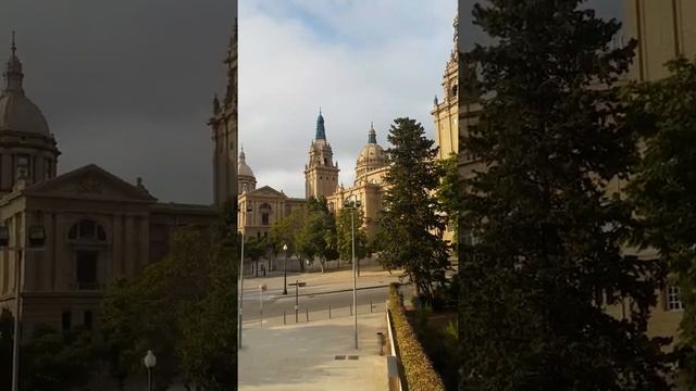 museu nacional d'art de catalunya  España