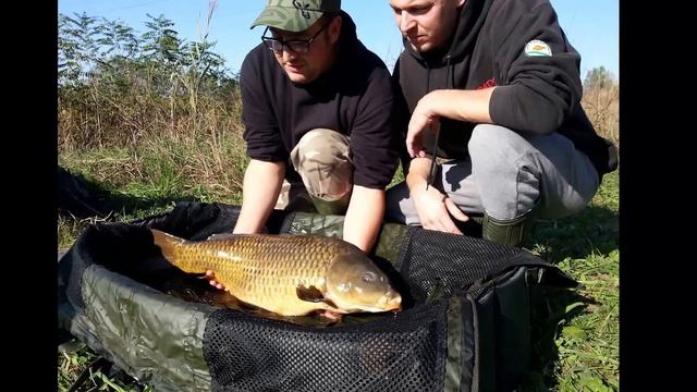 Carp fishing on the big river
