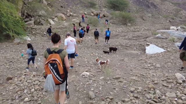 Our 1st Hatta - Dubai Doggie Hike | January 2022 | Furchild & Dogventure HQ | United Arab Emirates смотреть онлайн