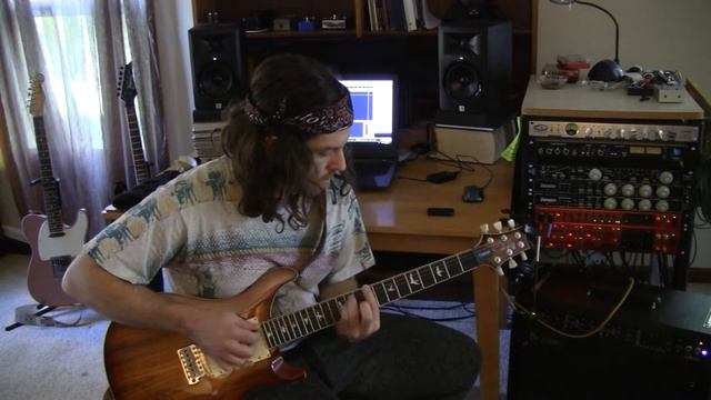 PRS SE Custom 24 Zebrawood w Bill Lawrence L90 смотреть онлайн