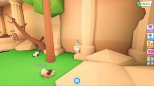 Нашла ТОМА! Что за квест в адопт ми, чтобы найти КЛЮЧ! обновление в адопт ми магазин для питомцев