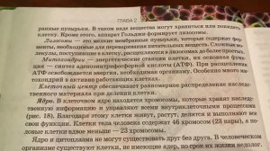 Биология 8 кл/М.Б.Жемчугова/ Тема: Строение и жизнедеятельность клетки/03.10.22