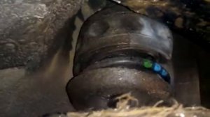 Качественные автобаферы (вставки в пружину). Машина Гольф 4! 2,5 года эксплуатации.