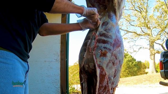 How to Gut A Deer: Step-by-Step Guide (#581) смотреть онлайн