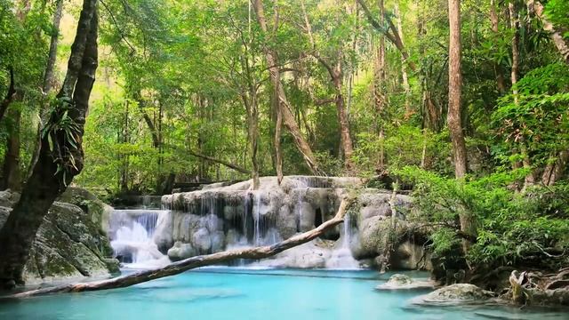 Расслабляющая Музыка В Стиле Дзен Со Звуками Воды • Расслабление, Сон, Спа, Йога, Медитация смотреть онлайн
