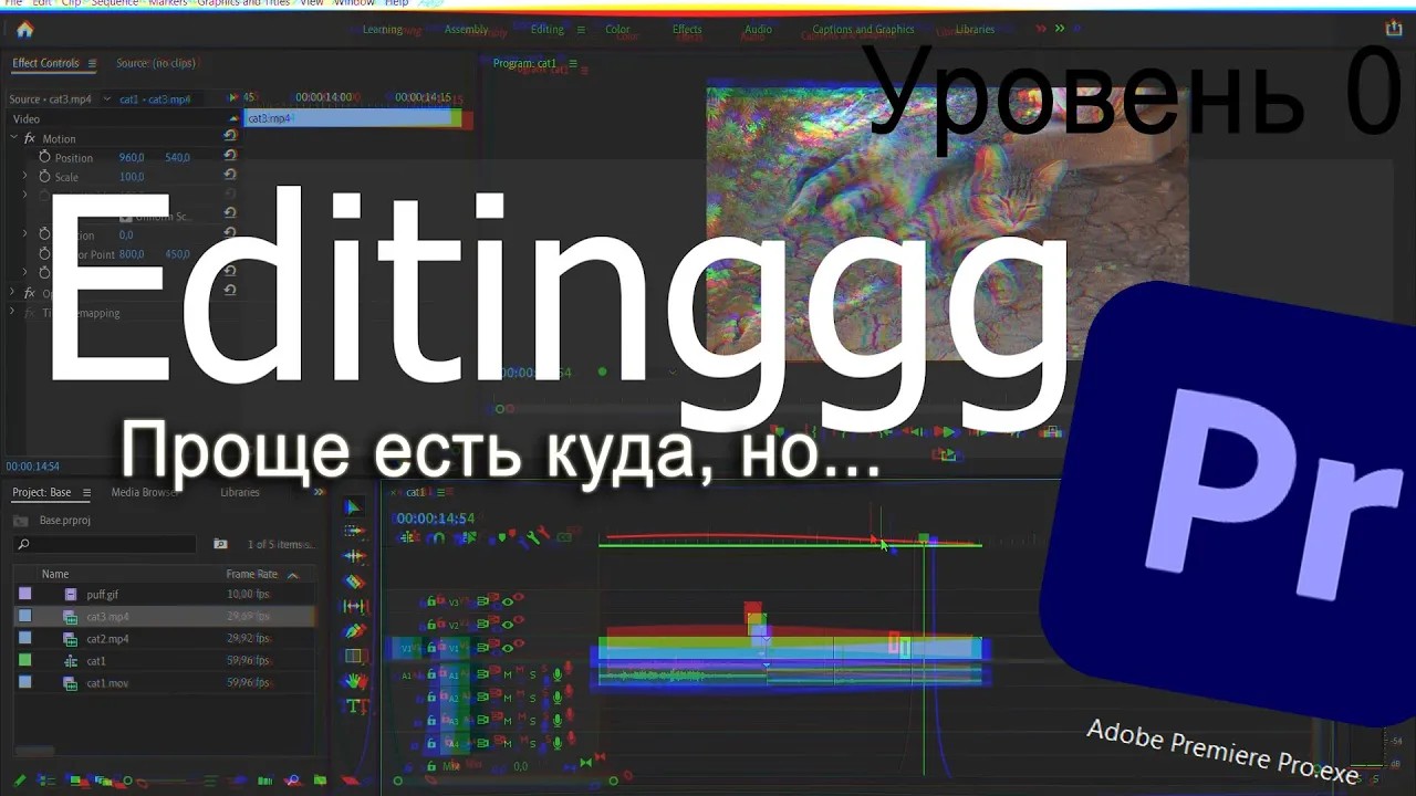 Premiere Pro пример монтажа short lifecircle