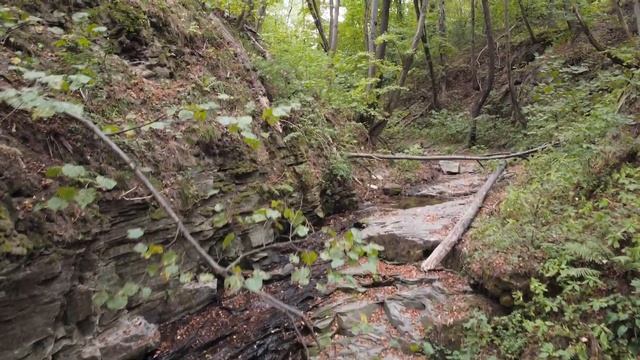 Річка Тетерів і водоспад Холодний. Вересень 2020 смотреть онлайн