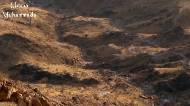 Слезы Умара ибн аль Хаттаба аль Фарук.....