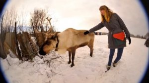 Заполярный-Ловозеро-Мончегорск 24марта 2012 road trip.