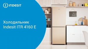 Холодильник Indesit ITR 4160 E - обзор модели