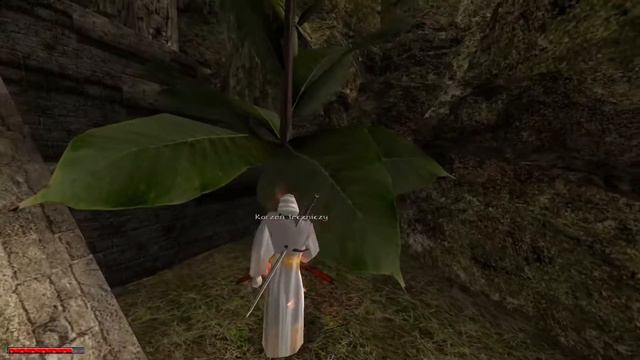 Gothic 2 NK: Przeznaczenie Odc.54 - Juan смотреть онлайн