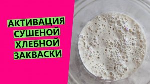 Активация сушеной пшеничной закваски| Как быстро вернуть ее к жизни?