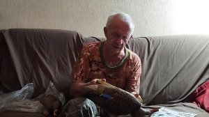 Блог - Обзор: "Чучела для охоты "ALFA Softplast", North Way". Часть 2.