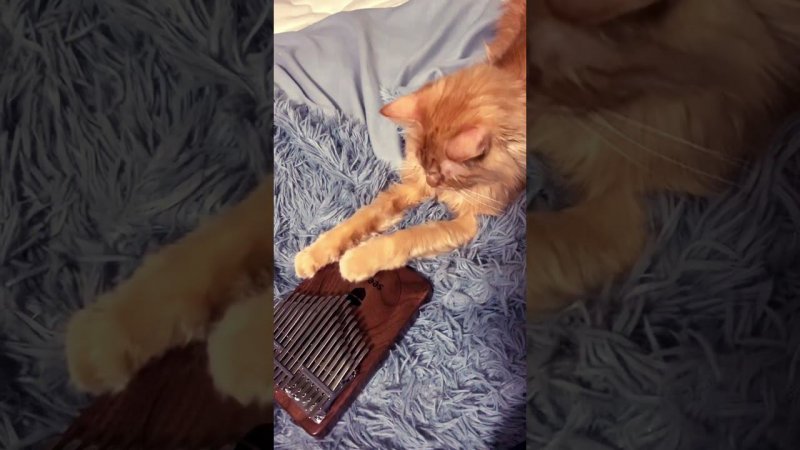 Kalimba 34 keys