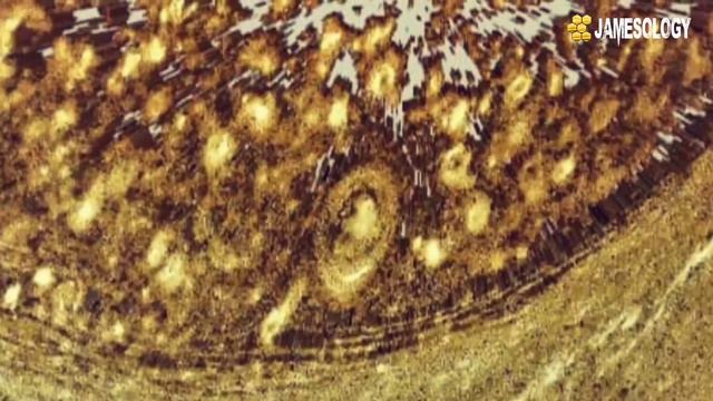 james webb space telescope send ultra hd images of saturn #nasa  #jameswebb #astronomy  #2022