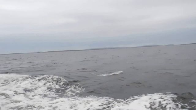 Белое море. Чайки-2. смотреть онлайн