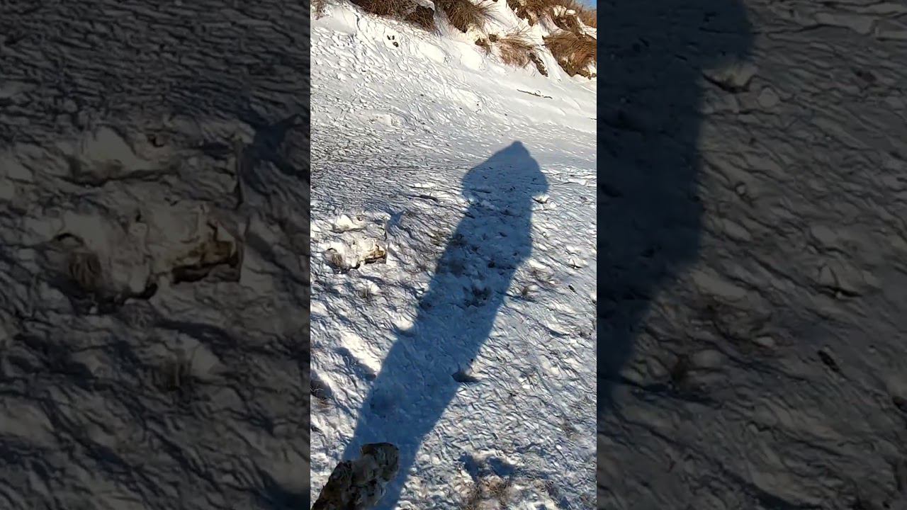 Что случилось с козликом? Хабаровск Дальний Восток река Амур #рыбалка #яспиннингист смотреть онлайн