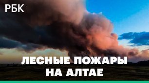 Площадь природного пожара на юге Алтайского края за сутки увеличилась вдвое