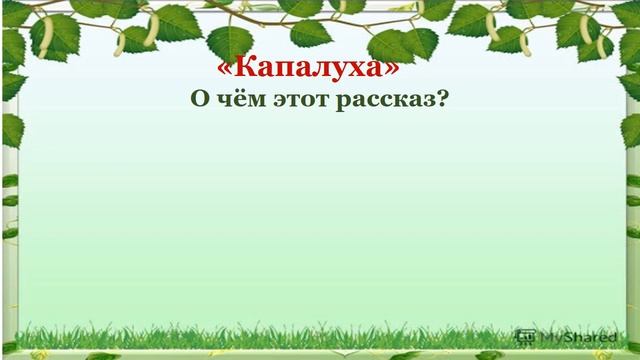 Капалуха герои произведения. Открытый урок по литературному чтению 3 класс Астафьев Капалуха. Капалуха литературное чтение 3 класс. Презентация Капалуха Астафьев 3 класс. Капалуха урок 3 класс.