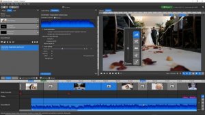 Photopia Director Timeline Tutorial