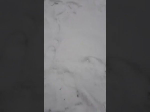 Паста жёлтый сыр