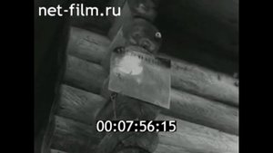 1980г. деревня Войцы. озеро Ильмень. Новгородская обл
