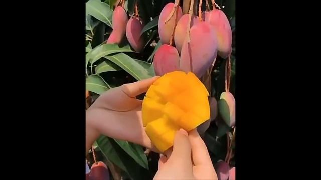 Настолько Необычных Фруктов Вы Еще не Видели | Топ 10