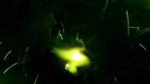 Как начинающим сварщикам варить трубы под потолком.mp4