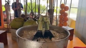 Cora Cora Maldives новый уникальный отель на Мальдивах с настоящим музеем