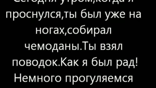 Бездомные животные смотреть онлайн