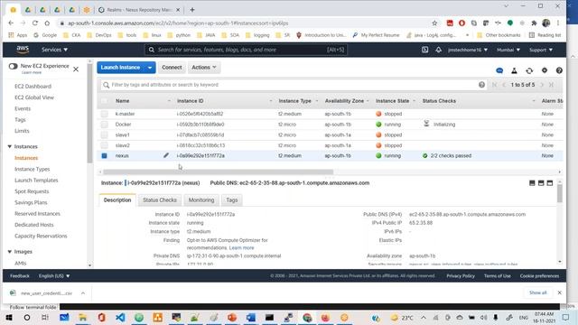 12. Docker Nexus and Ecr repositories смотреть онлайн