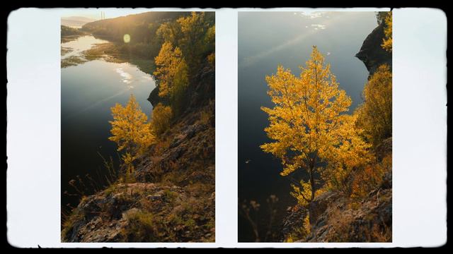 Осень - Фотографии от первого лица / Sony a7c sigma 28-70 / Пейзажная фотография смотреть онлайн