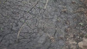 Закончил ограничение расползания малины.