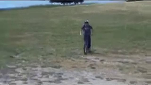 Sea Otter 2.m4v смотреть онлайн