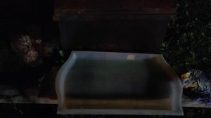 Грудинка горячего копчения мокрого посола.