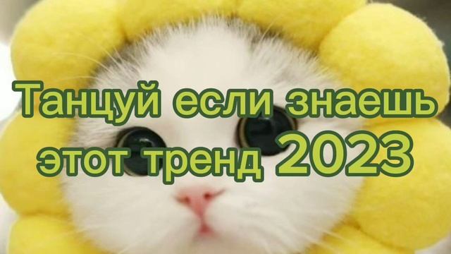 ??Танцуй если знаешь этот тренд 2023 года! НОВЫЕ Тренды для Тебя и твоих друзей!!!!??