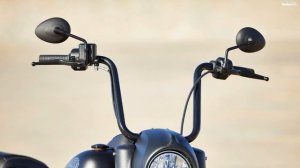 2021 Indian Vintage Dark Horse