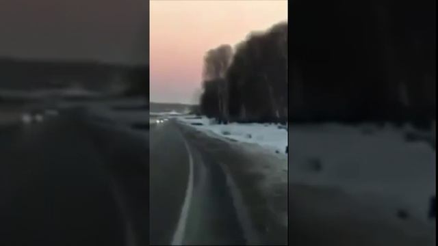 #Кабаны выходят на дорогу