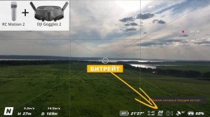 Какой Пульт выбрать для полета в очках DJI Goggles-2