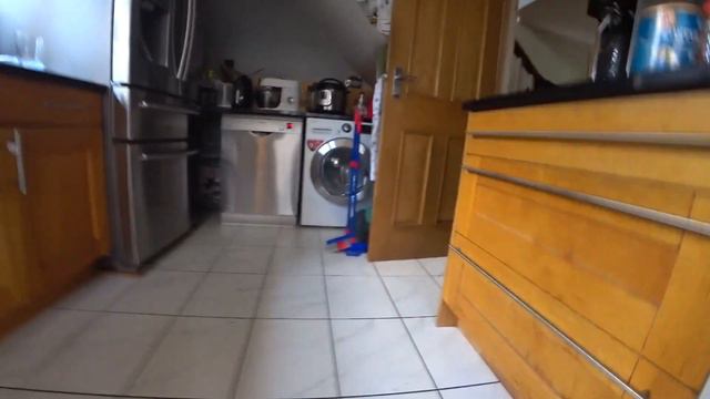 Мой кот умеет делать трюки (Англичанин говорит) смотреть онлайн