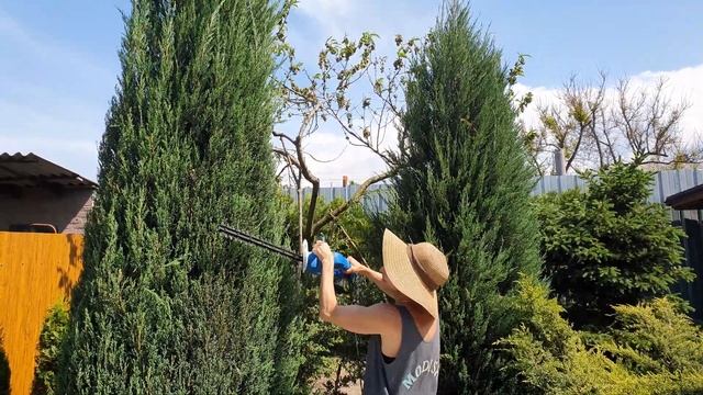 WONDER WOMAN WITH ELECTRIC BRUSH CUTTER! 4K ( ЧУДО ЖЕНЩИНА С ЭЛЕКТРИЧЕСКИМ КУСТОРЕЗОМ! 4K ) смотреть онлайн