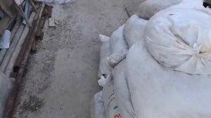 Дорожка между грядок из поддонов