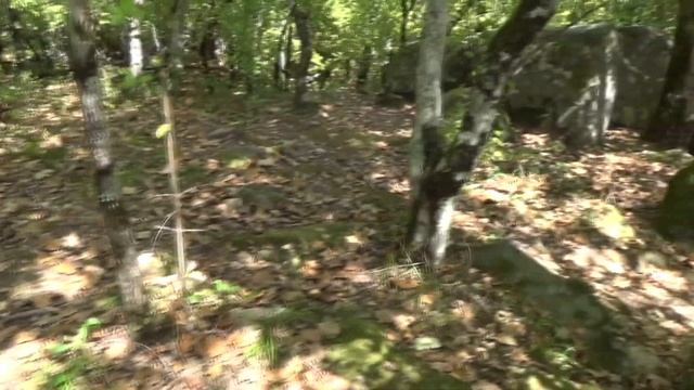 Дольмены пос.Пшада 2014 год смотреть онлайн