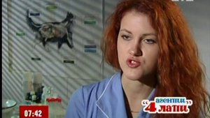 Аллергия на Котов