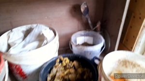 ✔Мои Куры несутся и зимой и летом!❗/Добавки со стола для яйценоскости//Инкубация куриных яиц зимой.