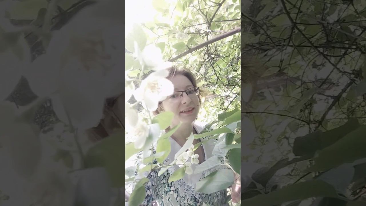 Миниобзор на фильм Не дано белыйкамень кино недано детскоекино