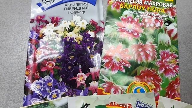 Многолетние цветы. Осенний посев.