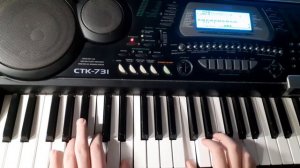 Casio CTK-731: 8BeatPop from Yamaha PSR 9000 pro